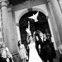 svatební fotografie - vypouštění holubů